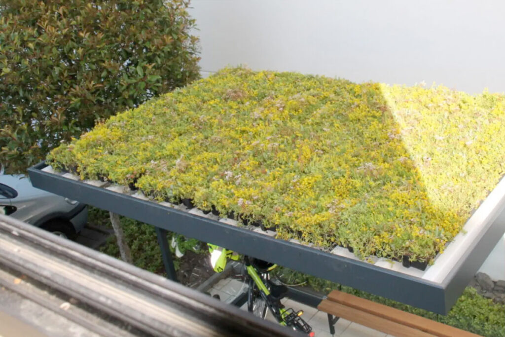 Fietsoverkapping met groen dak
