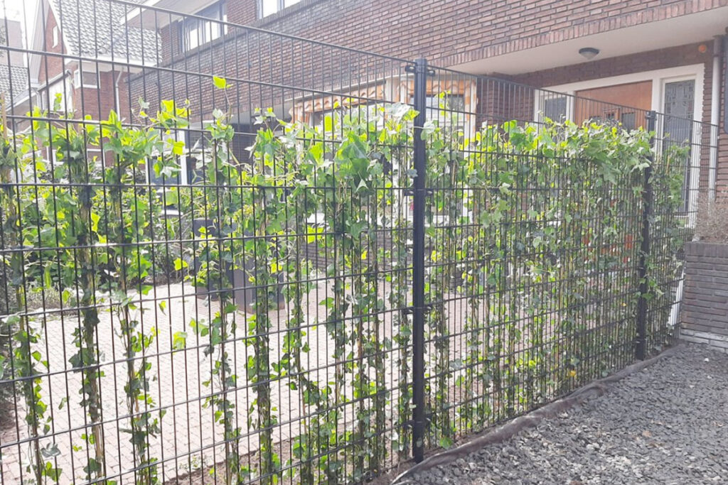 Dubbelstaafmat hekwerk combineren met beplanting