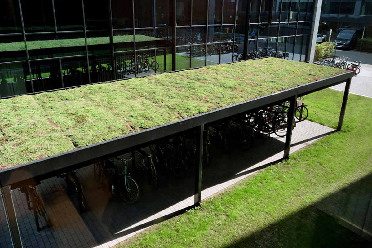 Fietsoverkapping met groen dak