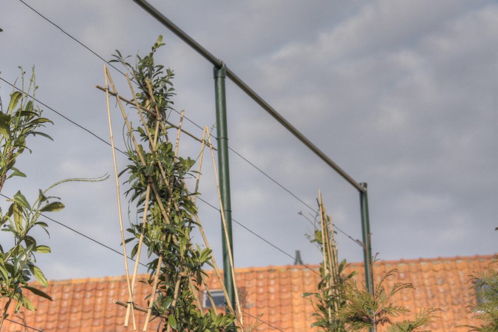 hekwerk voor leibomen