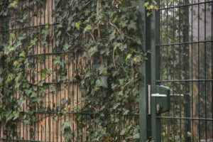 Kiezen dubbelstaafmat hekwerk