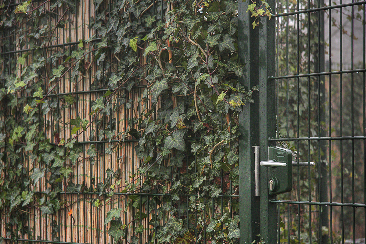 Kiezen dubbelstaafmat hekwerk