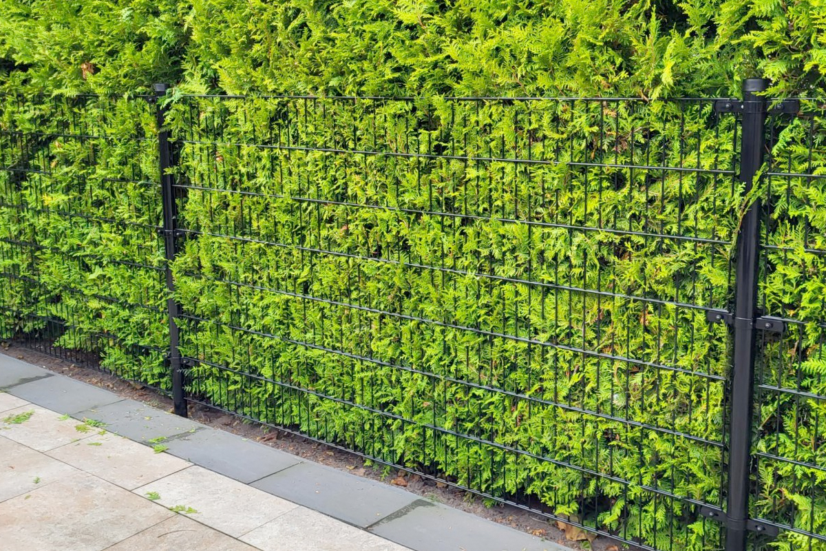 Hekwerk laten plaatsen in Limburg