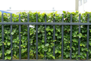 Spijlenhekwerk friesland