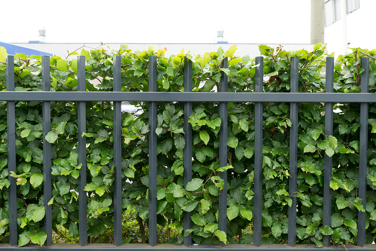 Spijlenhekwerk friesland